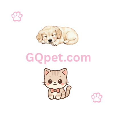 GQpet.com - Short, memorable, emotional